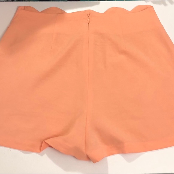 Coral Shorts - Picture 3 of 3